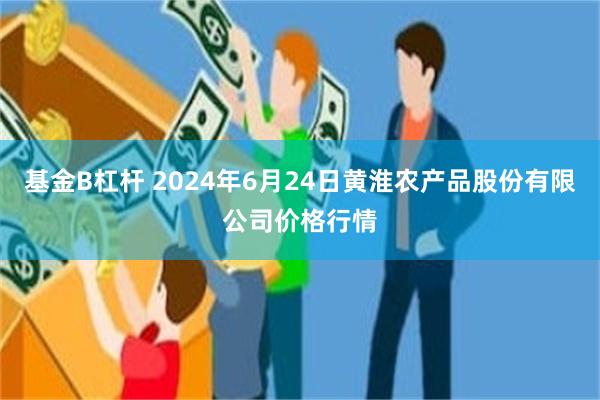 基金B杠杆 2024年6月24日黄淮农产品股份有限公司价格行情