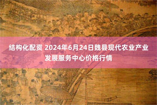 结构化配资 2024年6月24日魏县现代农业产业发展服务中心价格行情