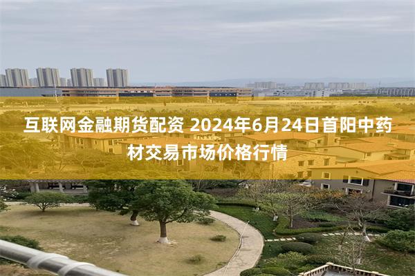 互联网金融期货配资 2024年6月24日首阳中药材交易市场价格行情