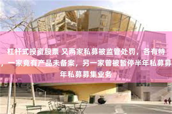 杠杆式投资股票 又两家私募被监管处罚，各有特殊原因，一家竟有产品未备案，另一家曾被暂停半年私募募集业务