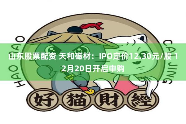 山东股票配资 天和磁材：IPO定价12.30元/股 12月20日开启申购