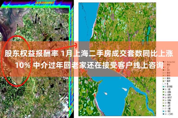 股东权益报酬率 1月上海二手房成交套数同比上涨10% 中介过年回老家还在接受客户线上咨询