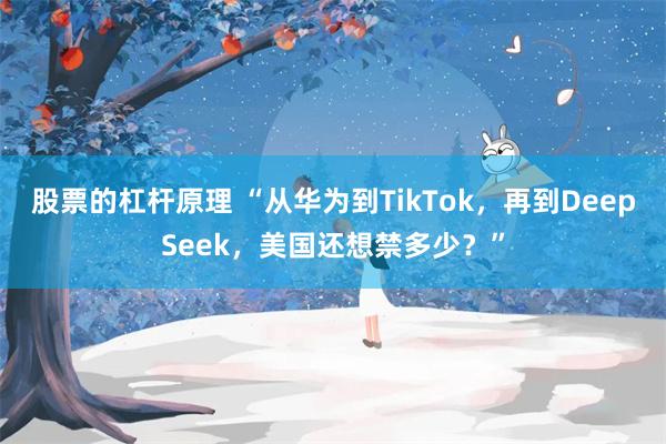 股票的杠杆原理 “从华为到TikTok，再到DeepSeek，美国还想禁多少？”
