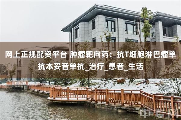 网上正规配资平台 肿瘤靶向药：抗T细胞淋巴瘤单抗本妥昔单抗_治疗_患者_生活