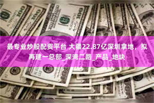 最专业炒股配资平台 大疆22.87亿深圳拿地，拟再建一总部_深湾二路_产品_地块