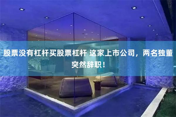 股票没有杠杆买股票杠杆 这家上市公司，两名独董突然辞职！